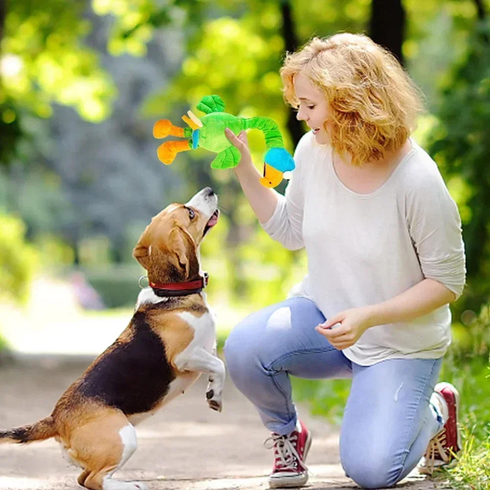 Plüsch Hundes pielzeug Huhn geformte biss beständige quietschende Spielzeuge für kleine große Hunde Welpen Haustiere Trainings zubehör Hunde zubehör