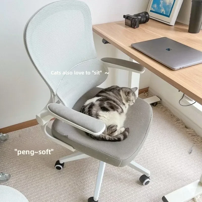 Multi-functional New Home office chair learning sedentary and comfortable computer swivel chair suspended waist rest