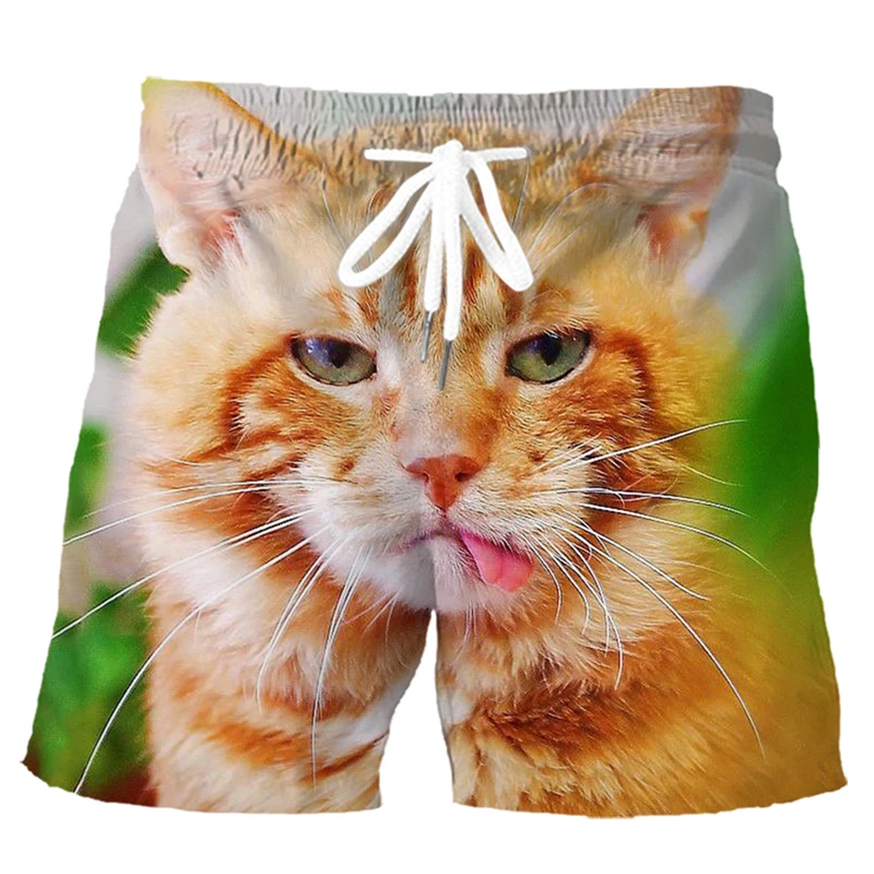 Herren Shorts Tabby Katze tanzen 3D gedruckt Board Shorts frische lässige Urlaub Beach wear Herren Strand Shorts Fitness Sport Shorts