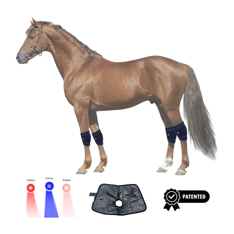 

ATV&UTVSunglor Exclusive Patented 450NM 660NM 850NM Nir Blue Infrared Light Therapy LED Red Light Therapy Horse for Knee