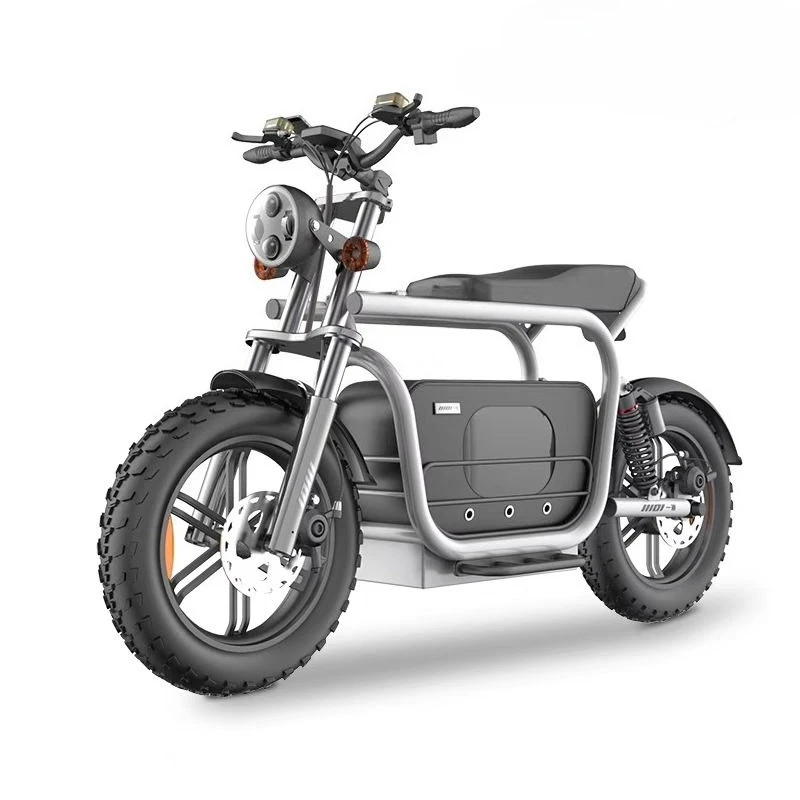 

Electric motorcycle two wheels 20 inches, adult travel, electric universal