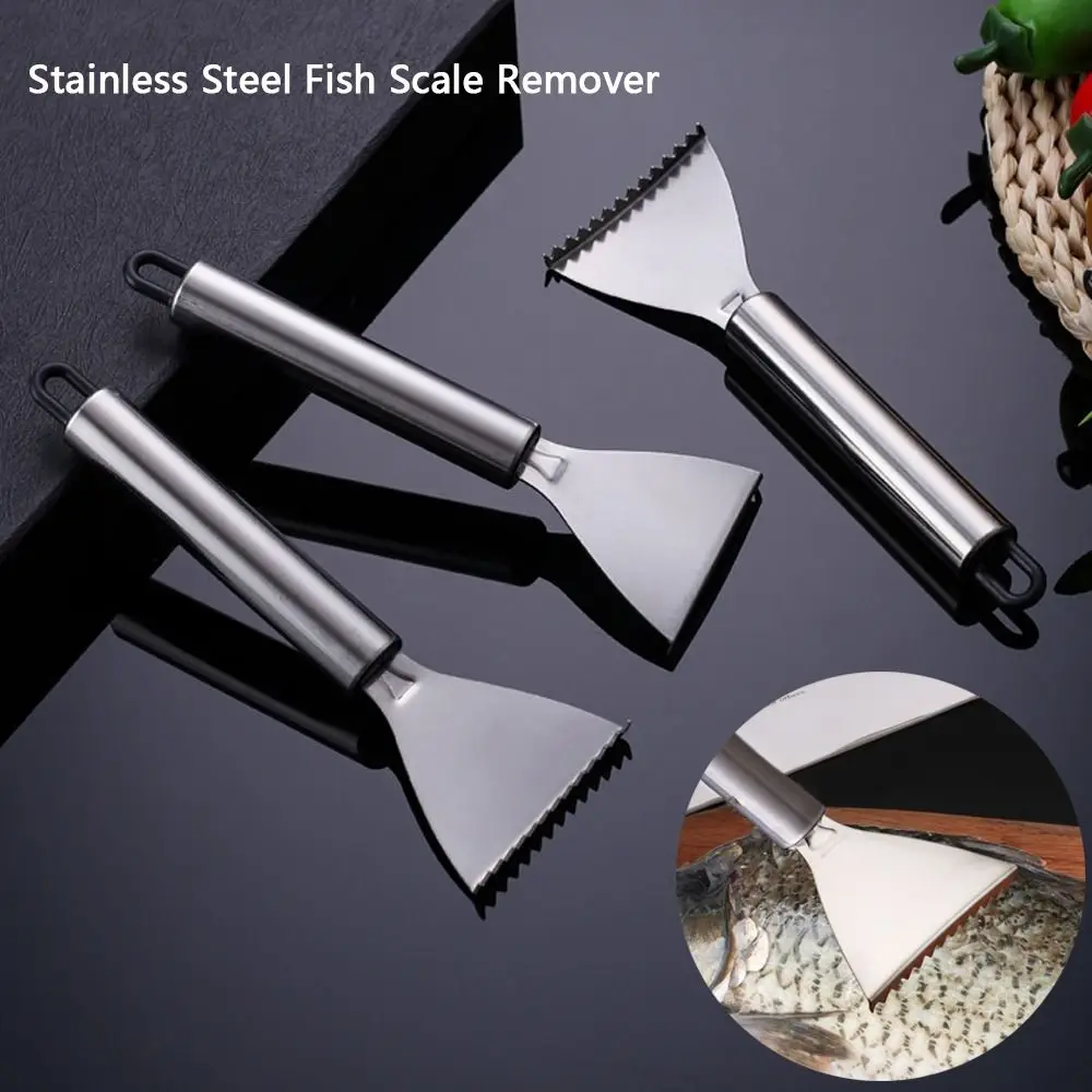 Stainless Steel Fish Scale Remover Smooth Handle Easy Maneuverability Fish Scale Scraper Seafood Tools Home Supplies