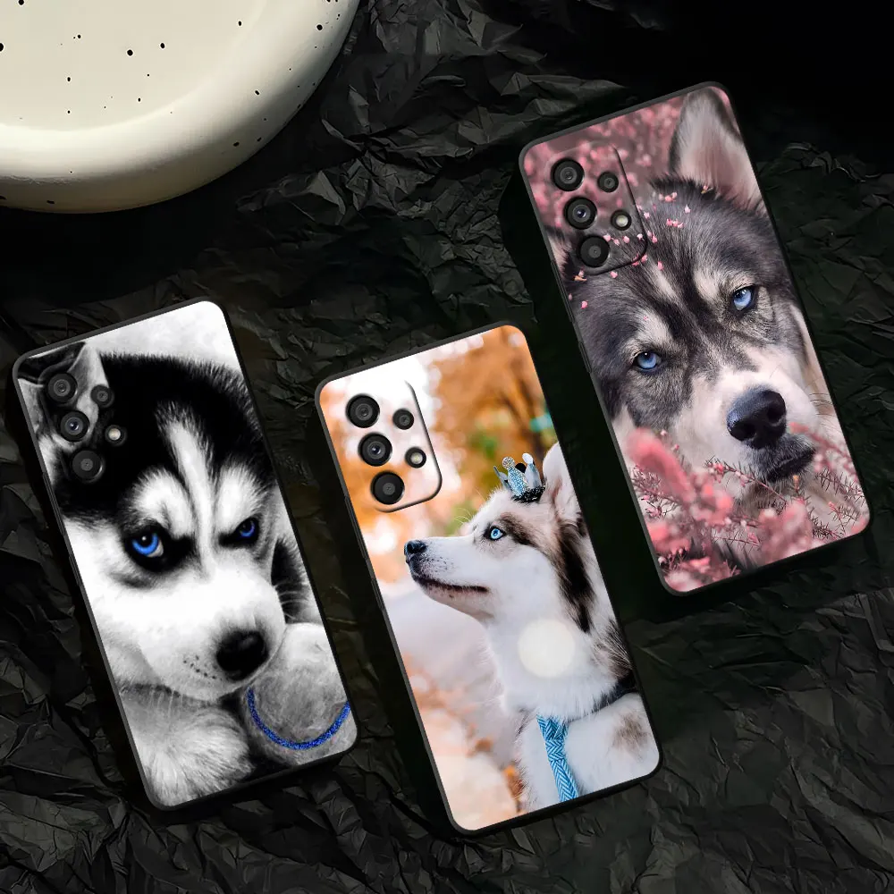 Animal Husky Cool P…