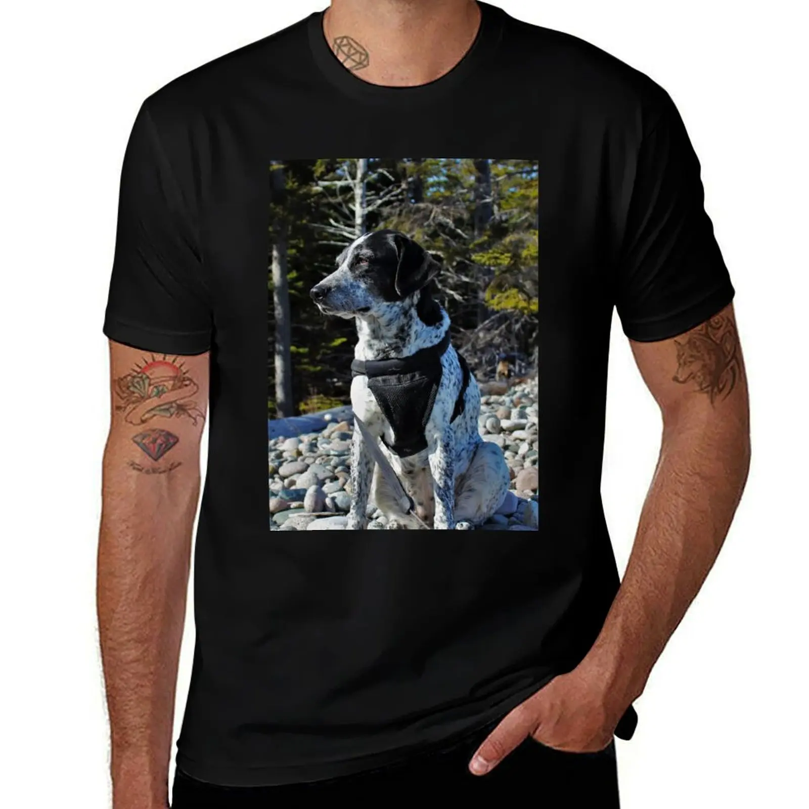 

cotton the luxury tshirt 100% cotton 100% brand Taking Scenery shirt T-Shirt t men in