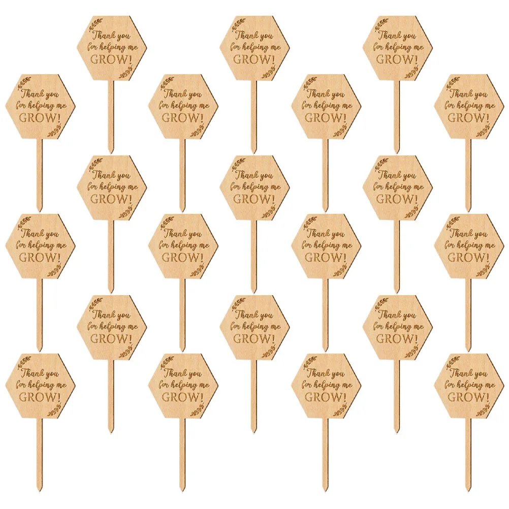 

40pcs Wooden Plant Labels Wood Garden Tags For Plants Outdoor Indoor Use Plant Marker Stakes Garden Supplies Succulent Markers