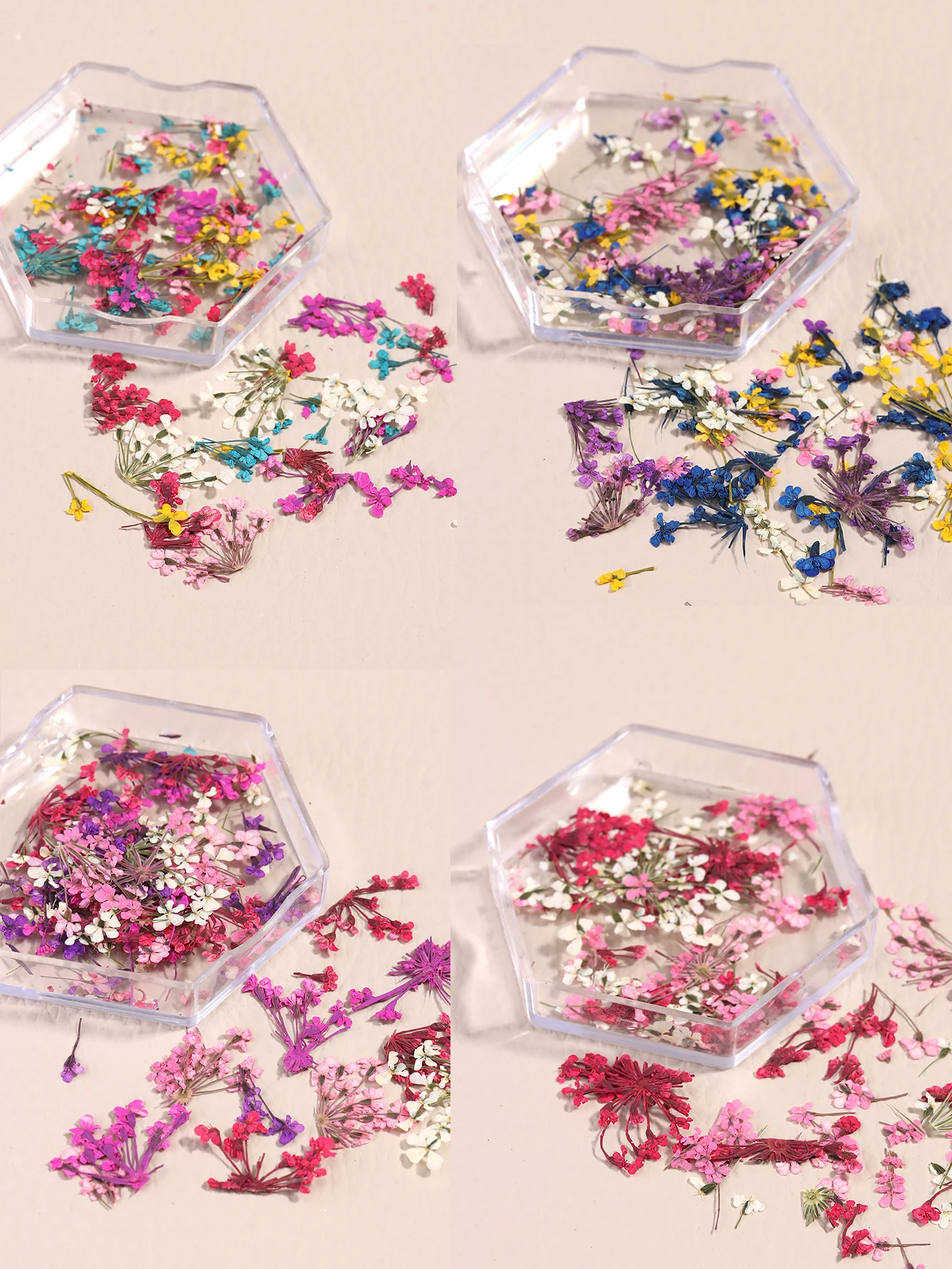 Gemischte Bunte Natürliche Blumen Nagelkunst-Charms Klein-Blau Gelb Rot Fünfblättrige Blume Natürliche Florale Maniküre-Accessoires – Detail 9
