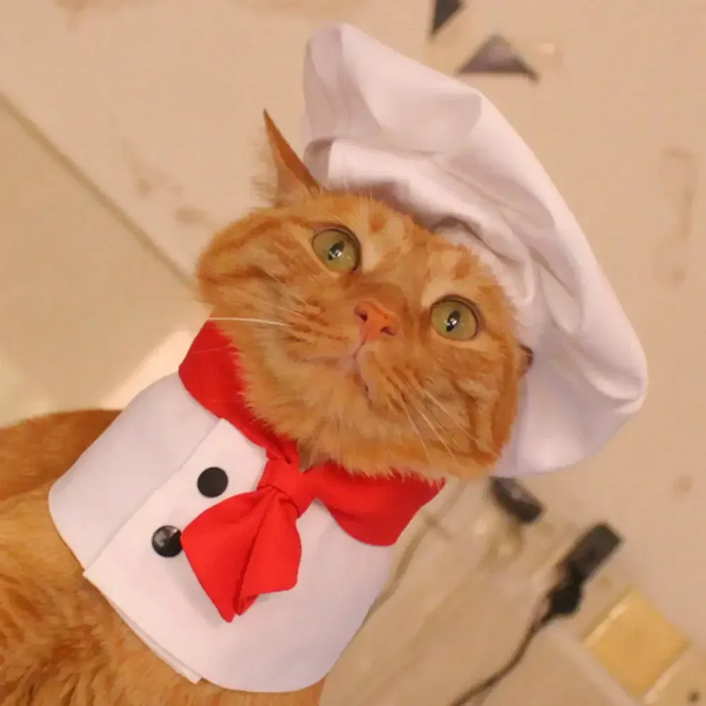 Pet Cooking King Hat Chef Clothes Hats Set Cat Dog Transformation Dress Cute Photo Decoration Hat Dog Costume Pet Accessories