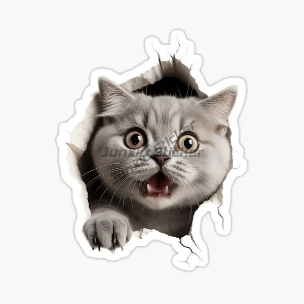 Cute British Shorthair Cat Pets PVC Creative Sticker Decorate for Car Fridge Van Door Wall Bicycle Window Decal Accessories