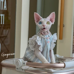 Luxury Cats Clothing Blue Soft Cotton Vest For Sphynx Cat Short Ruffled Sleeves Jumpsuit for Kittens Summer Dress for Revon Rex