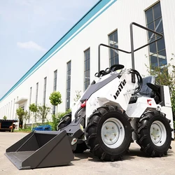 Mini minicargador hidráulico personalizado con tracción en las ruedas 4x4, pista para caminar, para jardín y camión, envío gratis