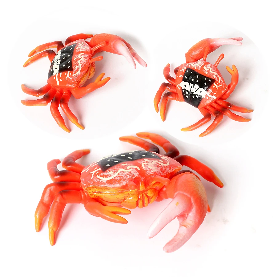 Animais do oceano realistas, caranguejo eremita, caranguejo de coco, fiddler, modelo de vida marinha, figuras de ação, criaturas do mar, brinquedos para decoração de casa