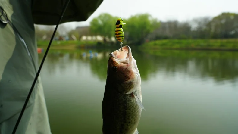 KINGDOM Wasp Minnow Topwater-Köder 35mm 43mm Schwimmend Langsam Sinkender Insekten-Hartköder 3,9g 4,5g 4,8g 6,1g für Barsch und Forelle – Detail 2