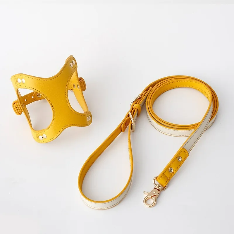 Luxury Leather Pet Harness Dogs and Cats Haulage Rope Package Cat Rope Small and Medium-Sized Dogs Puppy Supplies Accessories