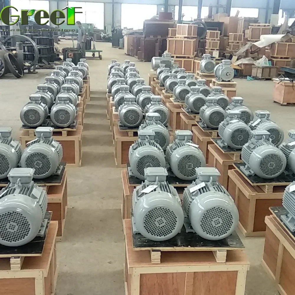 Renewable Energy Electric Motor with Permanent Magnet High Efficiency Motor