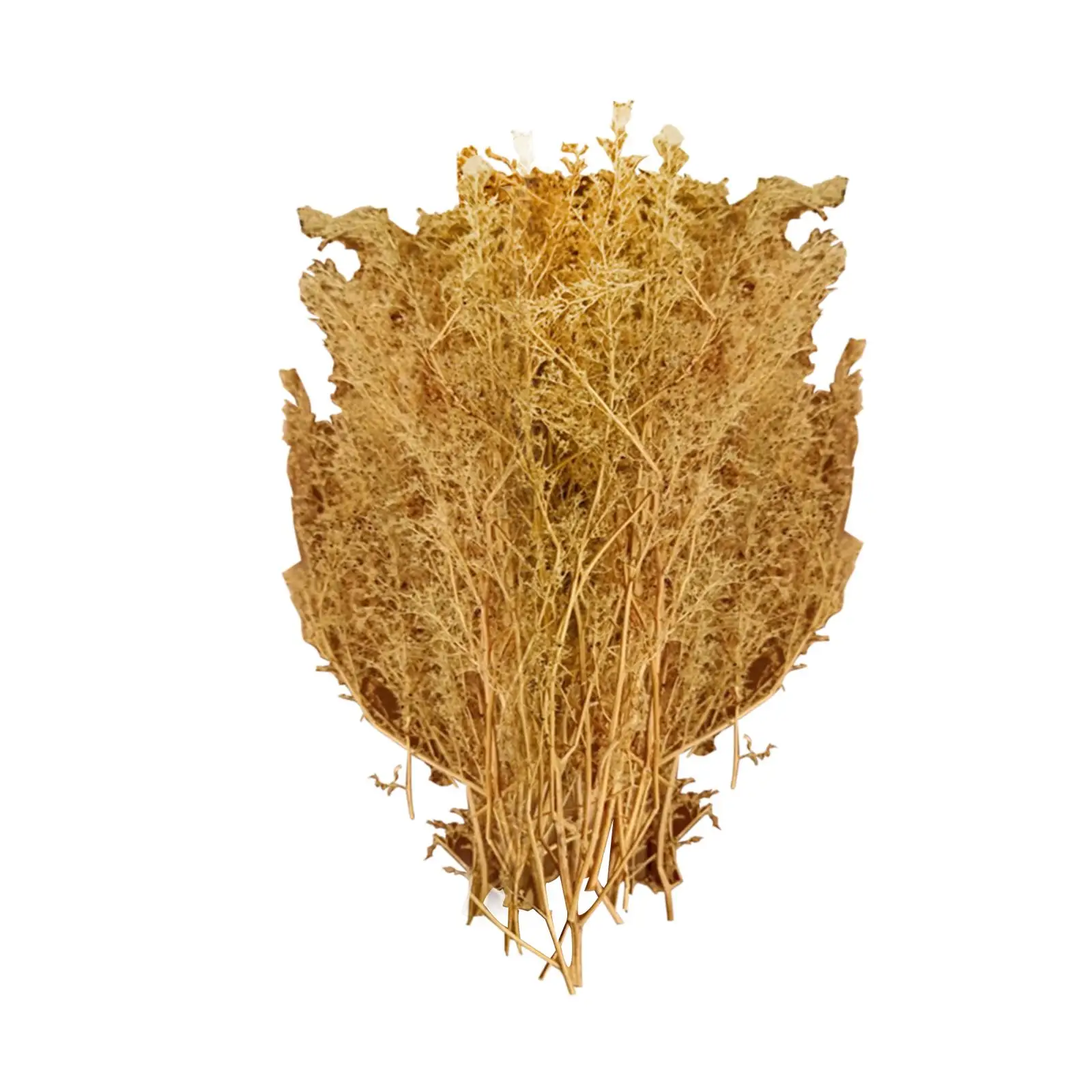 Drzewka modelarskie Mikrokrajobraz Dekoracja Model kolejowy Stół z piaskiem Materiały modelarskie 1/48 1/35 Materiały modelarskie do modeli kolejowych Architektura kolejowa