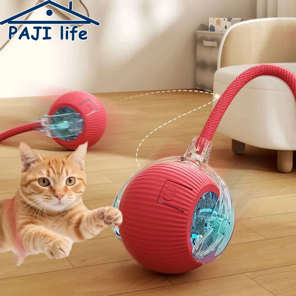 Smart Interactive Ball Toy for Cats Dogs, Auto Rolling Pet Ball Rechargeable, Electric Moving Mouse Tail Toy for Kitten Play