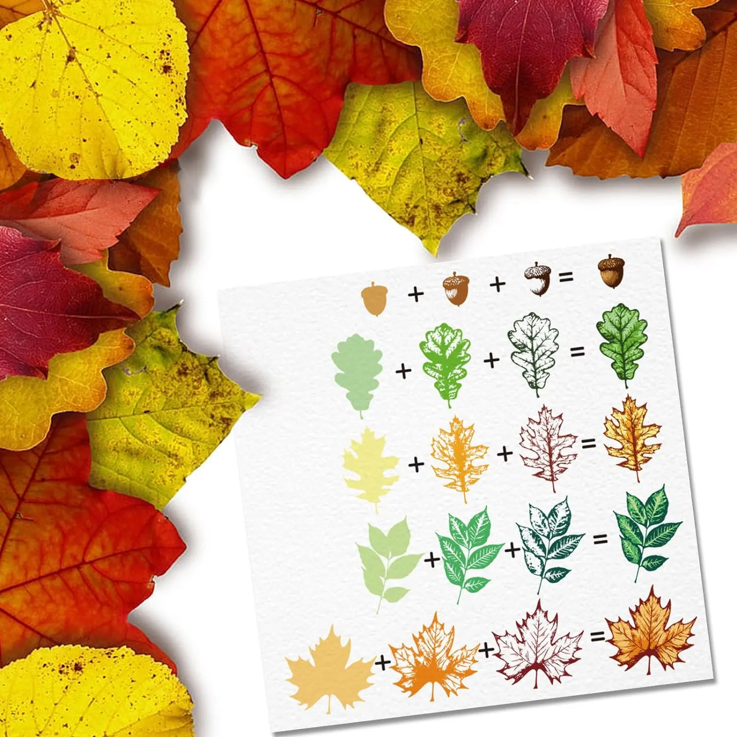 Plant Leaves Silicone Clear Stamp, Autumn Maple Leaf, em camadas Folhas Selos para DIY Scrapbooking, Revistas decorativas