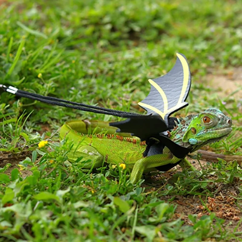 Bearded Dragon Harness and Leash Adjustable Reptile Lizard Leash Set with Wing for Amphibians and Small Pet Drop Shipping