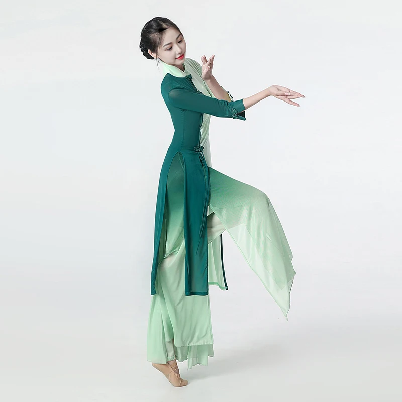 Women Elegant Dance Dress Chinese Folk Dance Costume Fairy Flowing Chiffon Dance Dress Practice Stage Performance Costume