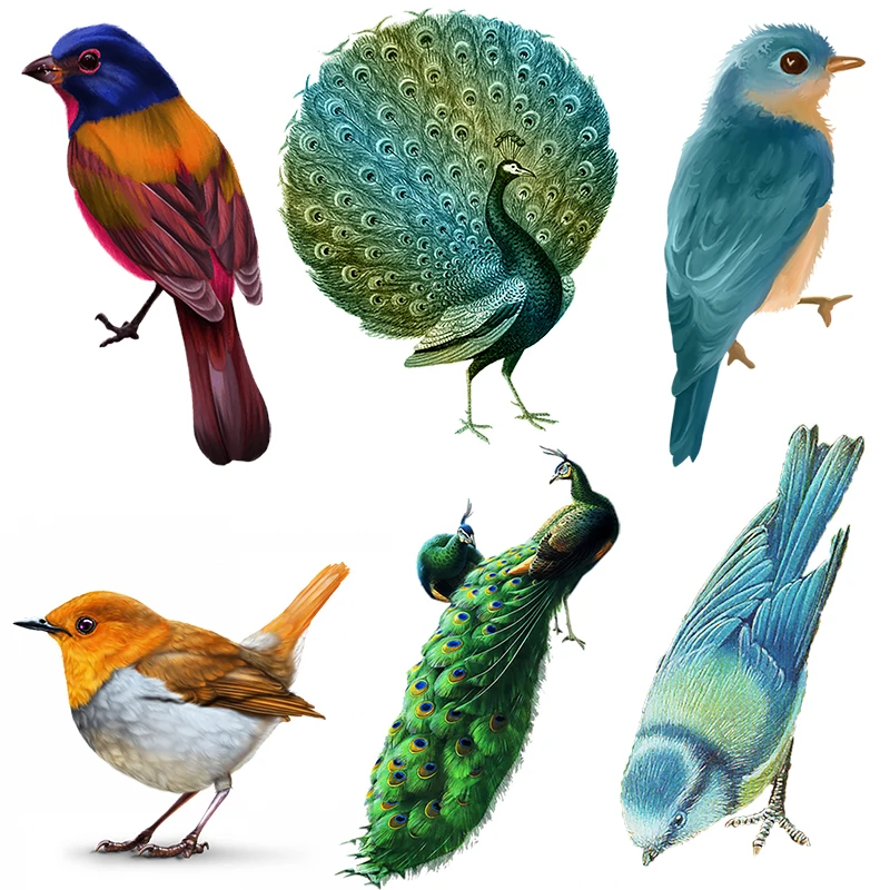 Three Ratels QN11 Beautiful Birds Peacocks  Swallows Personalized Decoration Wall Stickers  PVC Waterproof Self adhesive