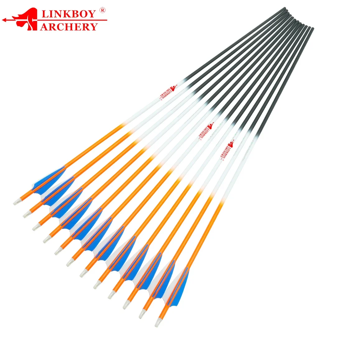 

12pcs Archery ID6.2MM Spine 500 Pure Carbon Arrows 3inch Plastic Vanes Compound Bow Hunting