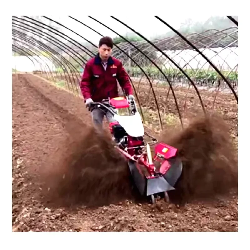 [2026] Economical Mini Power Tiller Gear Structure Ditching Cultivator