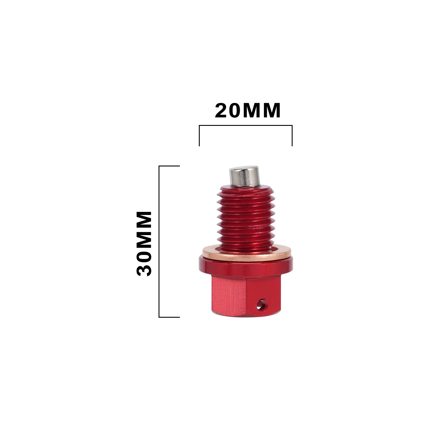 Oil Drain Bolt And Sealing washer Gasket Motorcycle For Honda CRF50F CRF250M CRF250RALLY CRF GROM MSX CT CBR Accessories