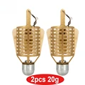 2pcs 20g