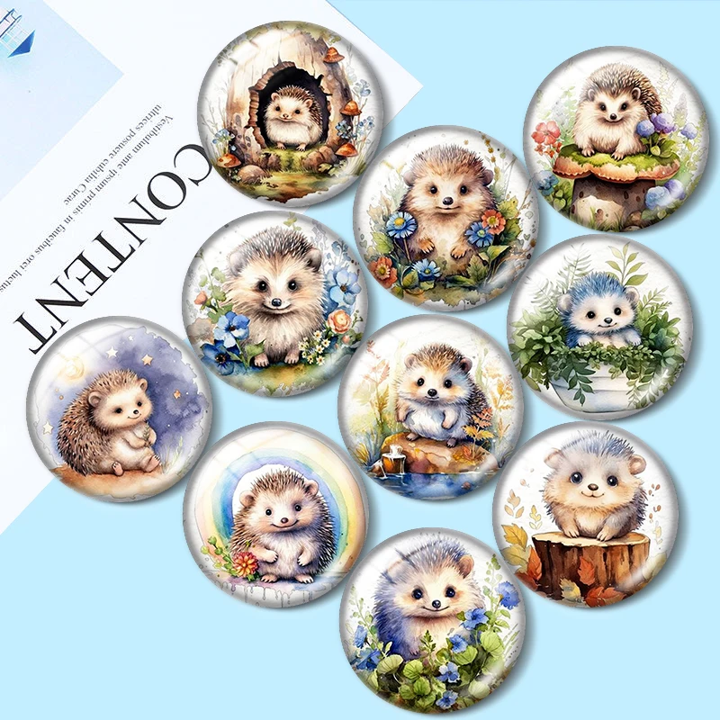 Chubby Hedgehogs 12/18/20/25mm glass cabochon necklace bracelet pendant rings for jewelry demo earrings back Making findings