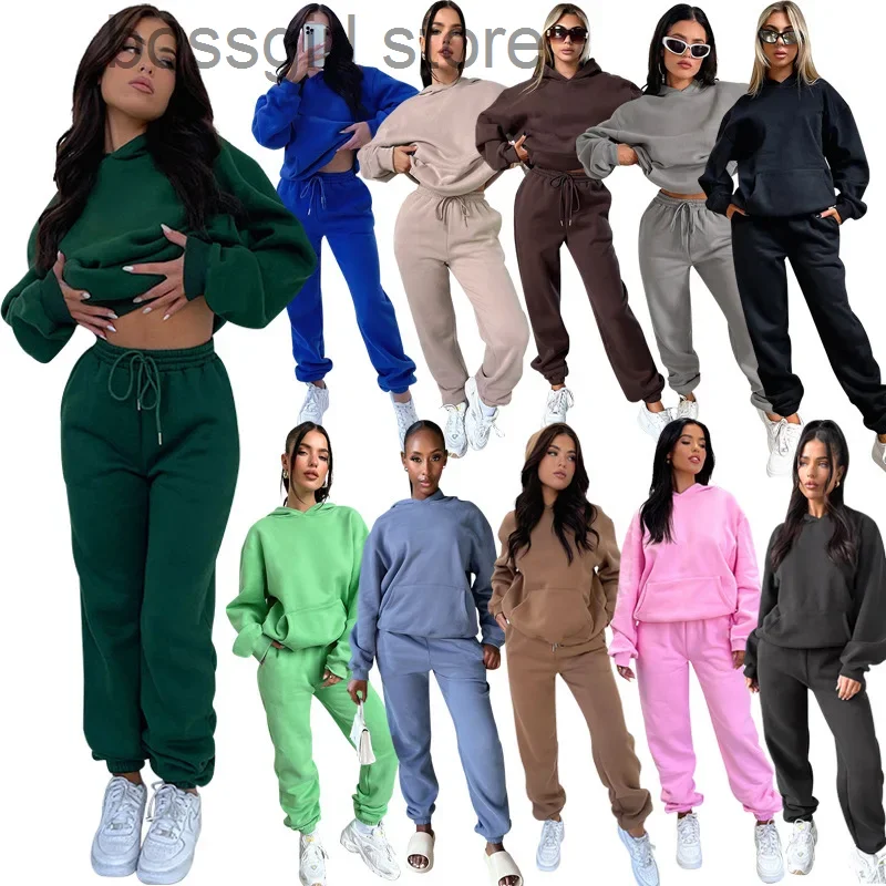 Casual Women's Set Activewear Long Sleeve Hooded Fleece Hoodie And Sweatpants 2023 Fall Winter Two 2 Piece Set Outfit Tracksuit