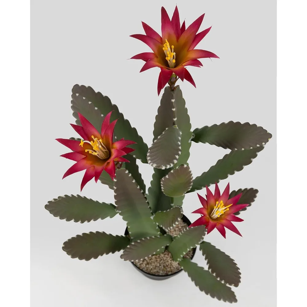 صبار صناعي كبير مقاس 33 بوصة مع زهور أرجوانية في وعاء مع حصى طبيعي. أوراق نهائية من الساتان ذات مظهر حقيقي وملمس.