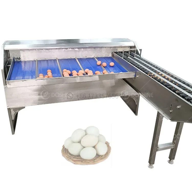 egg weight sorting machine egg sorter machine light inspection egg Candling Grading Machine