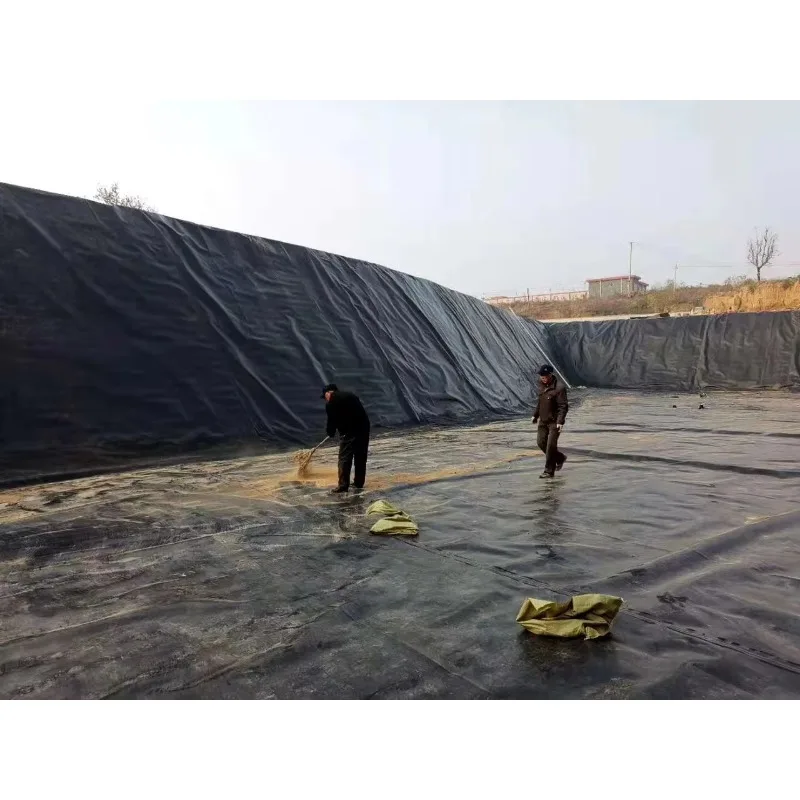Factory Supply Custom HDPE Geomembrane for Aquaculture Pond Dam Canal Landfill and Environmental Projects Worldwide