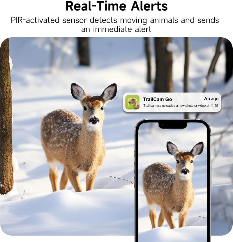 Thumbnail 2 - #7 New Wildlife Cameras Arrivals