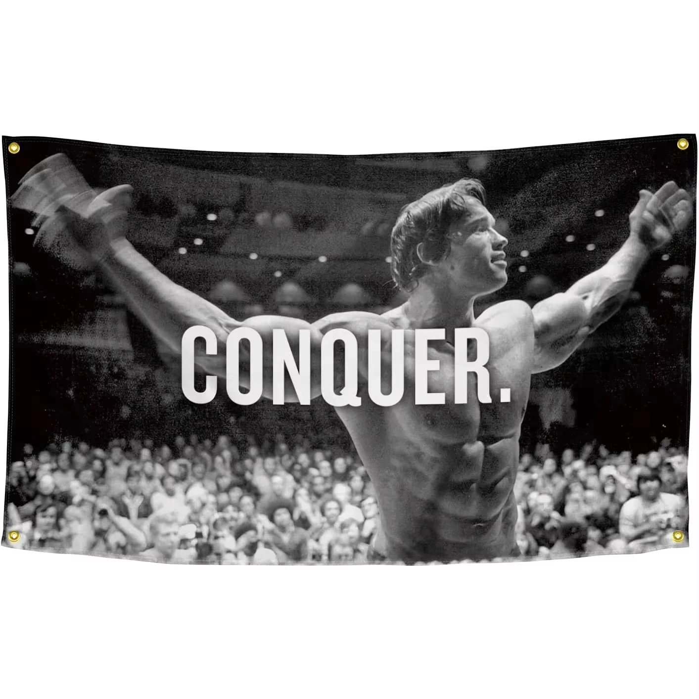 1PC Arnold Schwarzenegger vero - Home Gym Aesthetic recensie en prijs