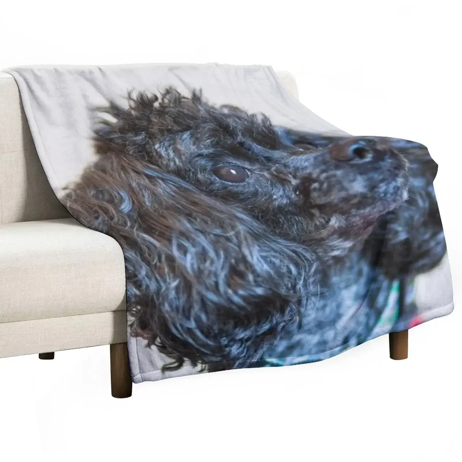 

Classic poodle Throw Blanket Warm Napping Blanket for Office Couch Bed