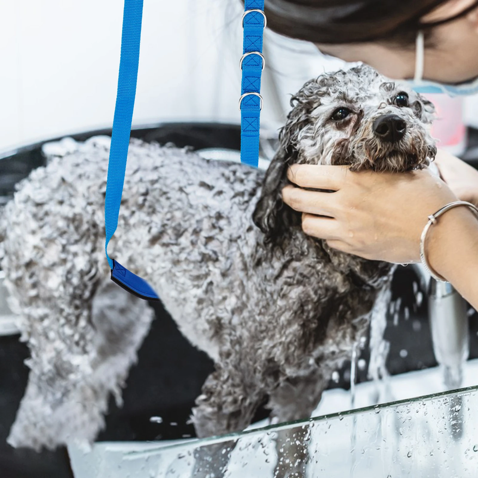 

3 Pcs Pet Rope Set Dog Grooming Strap Adjustable Straps Lasso Bath Polypropylene Accessories