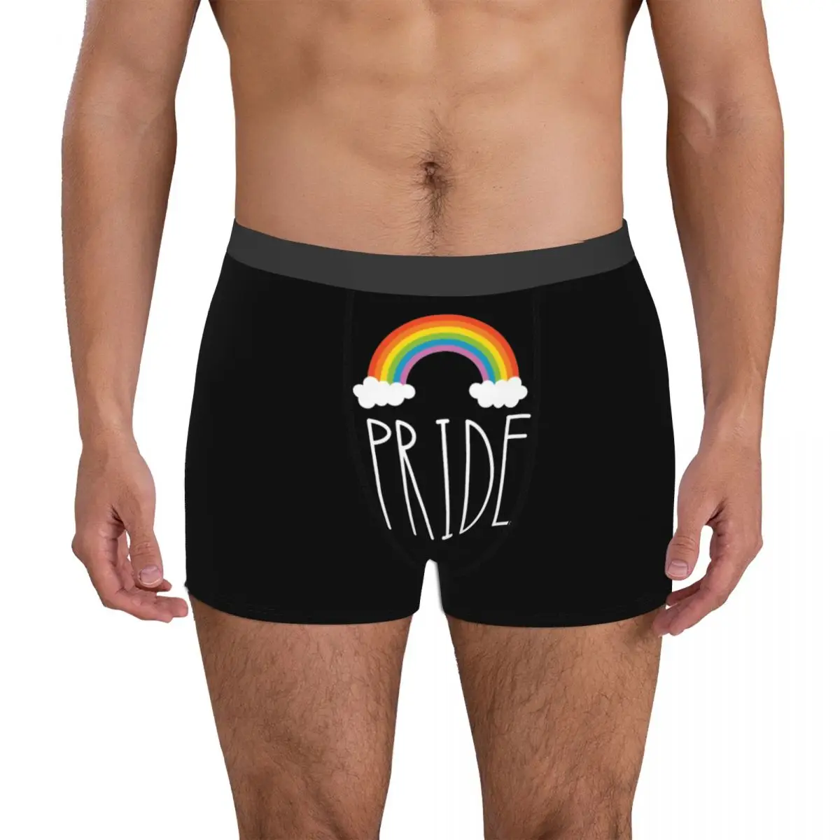 Lgbt Gay Rainbow Pride Fruity 11 Men's Boxer Briefs Funny Graphic Sexy Undies Sarcastic Spring Wearable