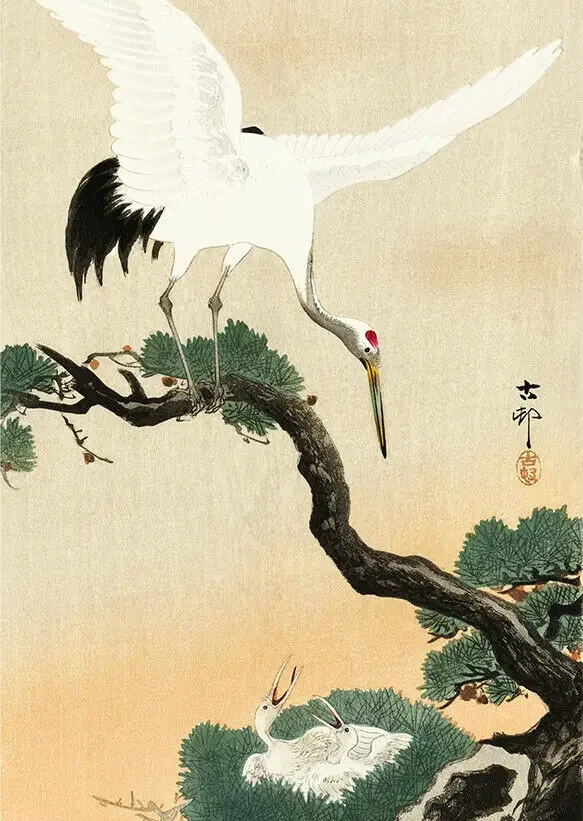 Vintage Japanese crane bird on branch of pine Ohara Koson ,Art Picture Print Silk Poster ,Home Wall Decor