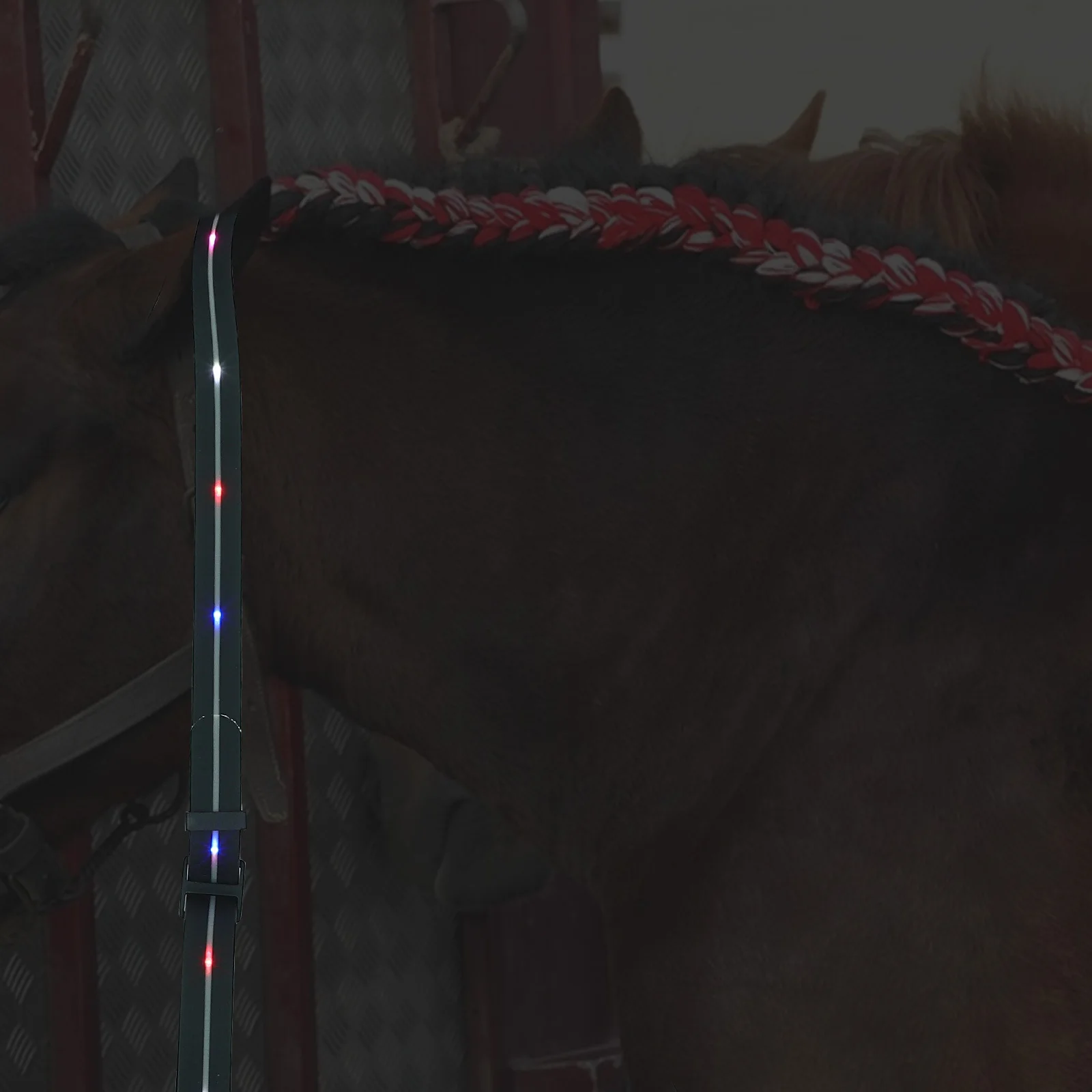 حبل سحب قابل للتعديل على شكل حصان LED لركوب الخيل، حزام حصان مضيء مقاوم للماء عالي الوضوح للتدريب الاحترافي #5