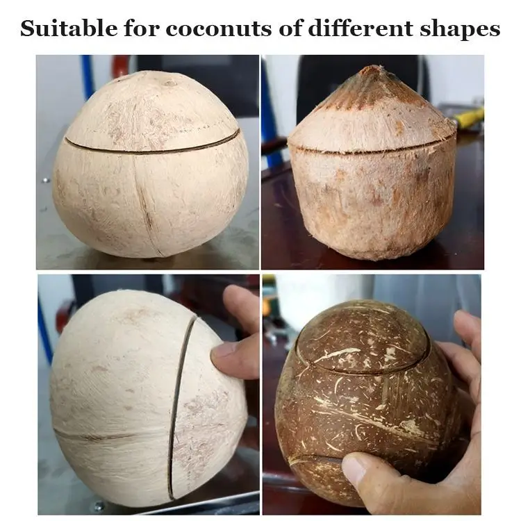 Coconut Cutting Machine Dry