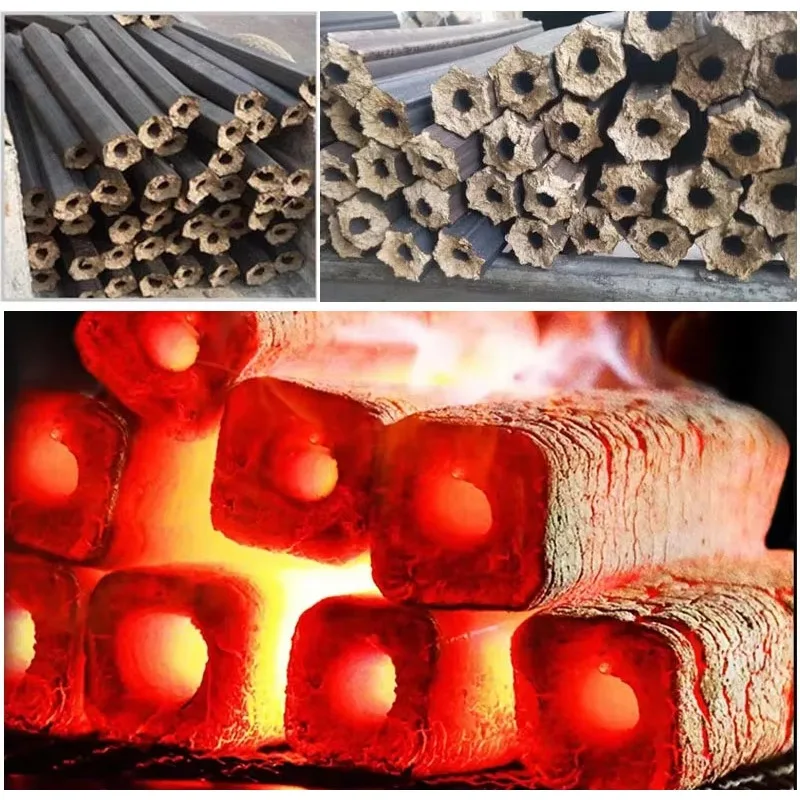 آلة فحم نشارة الخشب الصلب آلة قوالب الخشب آلة تشكيل آلة تشكيل الطارد #3