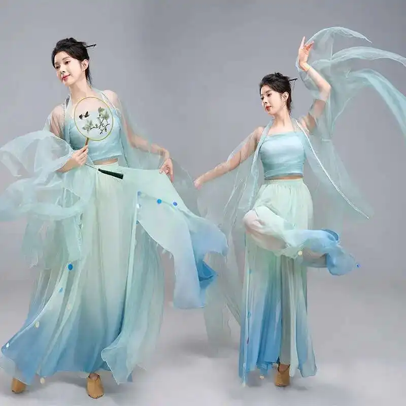 

Classical Dance Fairy-like Flowing Gauze Sequin Pants Skirt Mermaid Tears Chinese Style Art Exam Super Fairy Dance Performance