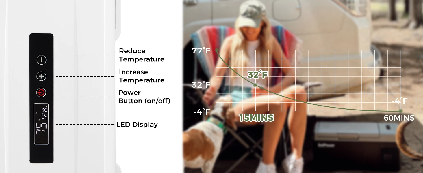 12v coolers