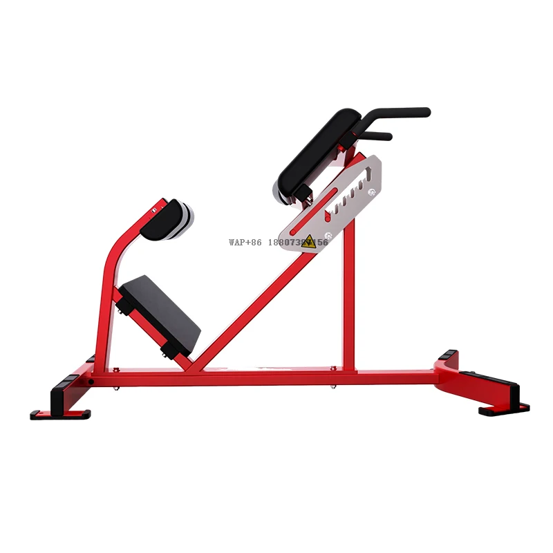 Back Extension Machine Commercial Gym Equipment Fitness Back Extension Bench Back Extension Bench Machine