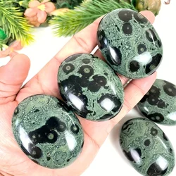 1pc Kambaba Jasper Palm Stone, Kambaba Jasper Smooth Stone