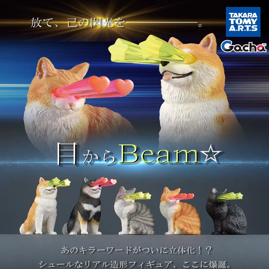 noviembre. Preventa TakaraTomyArts cápsula juguetes cool Eye Beam ★ Stare de la muerte Shiba Inu naranja gris tabby neko gato gatito perro figuras