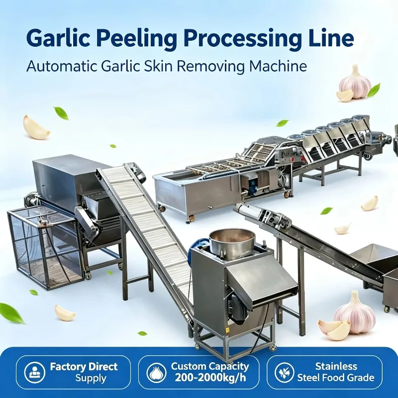 Industrial Dry Garlic Peeling Clove Separator Complete Stainless Equipment for Food Processing Plant Custom