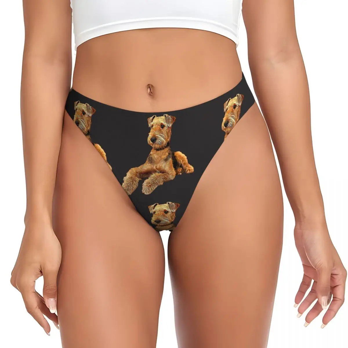 calcinhas-g-string-personalizadas-com-estampa-de-cachorro-airedale-terrier-respiraveis-confortaveis-e-elasticas-para-mulheres