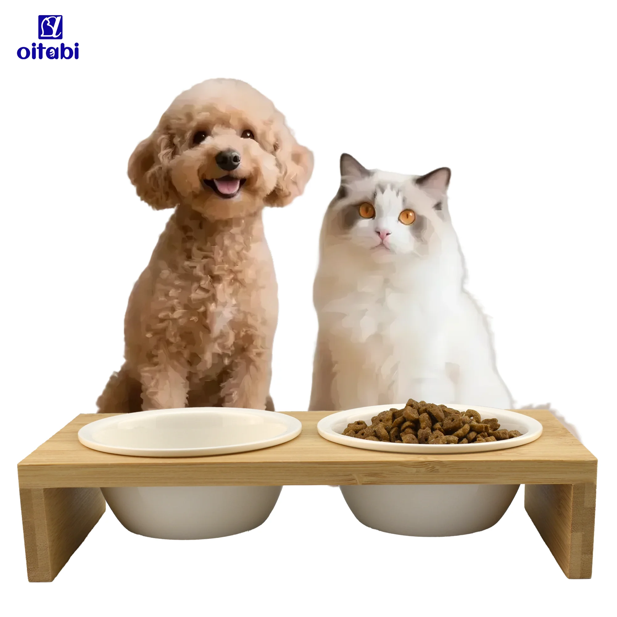 

Oitabi Pet Cat Food Water Double Bowl Elevated Kitten Dishes Set Ceramic Dish for Indoor Cats Orthopedic Cat Feeder Food Stand